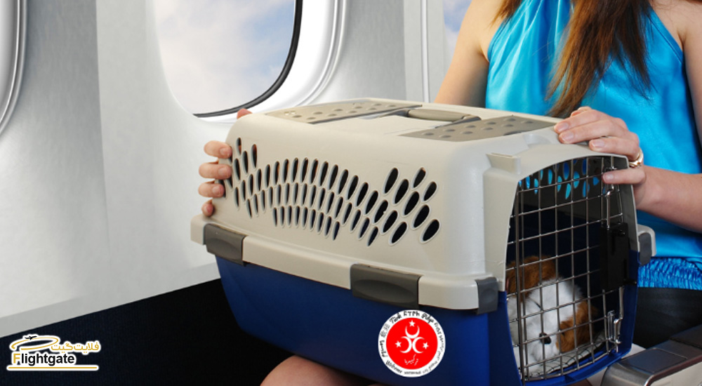 هزینه حمل و بلیط هواپیمای حیوانات خانگی